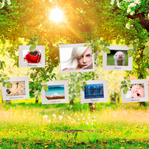 Photo Gallery on a Sunny Afternoon - Prezi Template